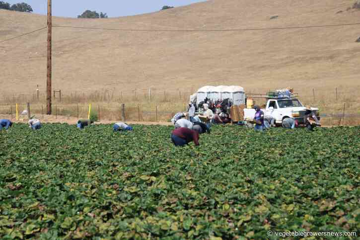 EFI streamlines worker certification program