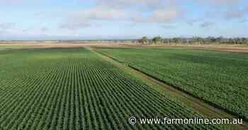 Lockyer Creek Farm offered as entry-level operation or irrigation add-on