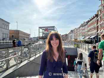 Five-fingers-plan a great Dane initiative