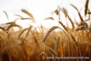 Historical echoes in China’s hoarding