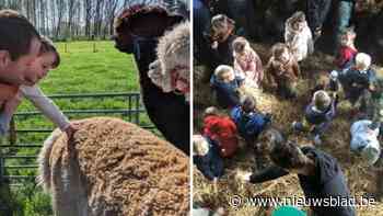 Calsterhof houdt ’Lammetjeskijkdag’ op paaszaterdag