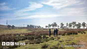Moorland to be restored to its 'natural state'