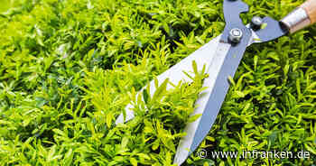 Kitzingen: Frau droht mit Gartenschere - Streit unter Mietern eskaliert