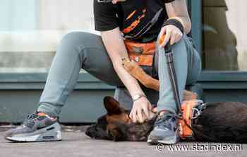 Hond Oepsie geeft tbs’er Lotte (25) weer zin in het leven: ‘Een dier liegt niet’