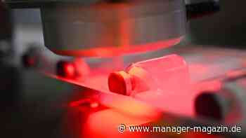 Diese Branchen führen am meisten in die USA aus