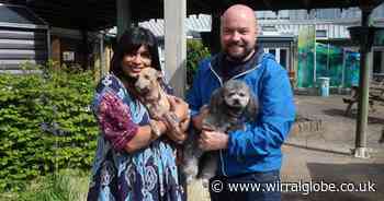 Mowgli’s dog show for Claire House returns to Wirral