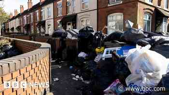 Army experts called in over Birmingham bin strike