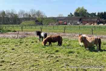 Ninde geteisterd door geluidsoverlast