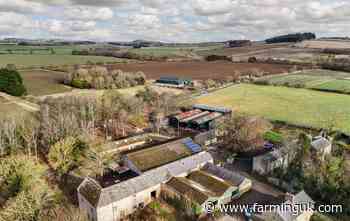 Chance to convert farm buildings into five homes in Northumberland