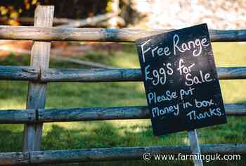 Two-thirds of rural retailers hit by crime, NFU Mutual finds