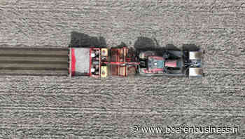 Top- of flopjaar? Dit moet je weten over poten en areaal