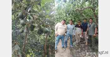 "De kans is groot dat we snel meer naar China gaan exporteren met onze groep"