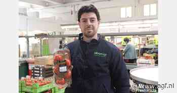 "Dit jaar waren de tomatenprijzen behoorlijk stabiel, maar laag"