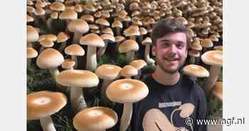 De virale 'symfonie van champignons' van de Oakland-student