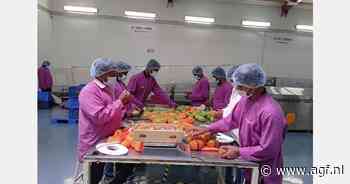 "10%-heffing pauzeert Amerikaanse import van Indiase mango"