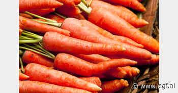 Marokkaanse wortelexport bereikt record van 69.000 ton