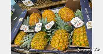 "Ongekende situatie voor ananas"