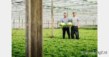 Dirk Declercq volgt Rita Demaré op als voorzitter bij REO