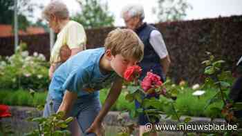 Rozenfeest in Rivierenhof zoekt standhouders met passie voor bloemen