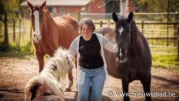 Karlien (42) zet paarden in tijdens coachingsessies voor kinderen en volwassenen: “Ze reageren op emoties zonder te oordelen