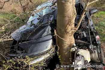 Opel kracht in Rahden gegen Straßenbaum