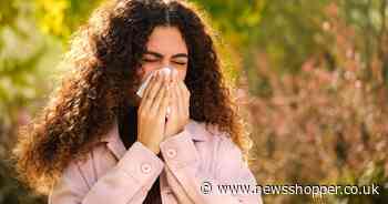 Hay fever? Here's 5 drinks you have at home that could help 'wash out' symptoms