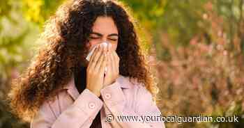 Hay fever? Here's 5 drinks you have at home that could help 'wash out' symptoms
