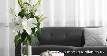 Expert shares 30p 'secret' for keeping flowers alive for longer