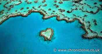 Two British tourists aged 17 and 46 tragically drown near Great Barrier Reef