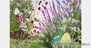 Insecteneieren zoeken bij bioshop