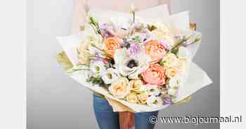VVD Groningen vreest voor te kort aan biologische bloemen