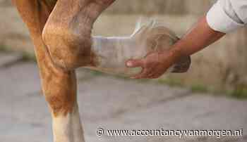 RA drie maanden doorgehaald voor opzet onrechtmatige herstructurering