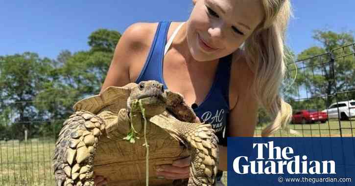 ‘Tornado tortoise’ reunited with its family a month after deadly US storms