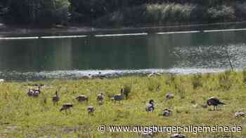 Polizeieinsatz am Plessenteich: Zwei Männer zünden Feuerwerkskörper