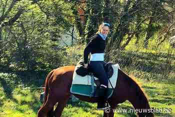 Brusselse advocate zet paard in om hongersnood in Soedan aan te kaarten: “Ideale manier om contact te maken met voorbijgangers”