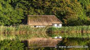 Neues Buch von Martina Behm: Ziehen vier Hamburger in ein Dorf