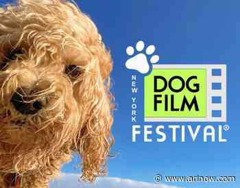 Dog and cat themed film festivals coming to Columbia Pike next month