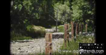 Lushfoil Photography Sim wants to make photographers out of us all