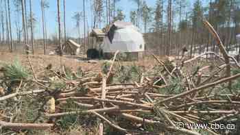 Oro Medonte asks Ontario government to declare natural disaster, 2 weeks after ice storm