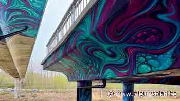 Nieuwe streetart op komst op brug Wolvenberg en Brilschanspark: “Groot werk, dus pas na de zomer klaar”