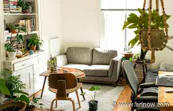 Arlington apartments are small and getting smaller, new report finds