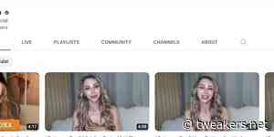 Franse wet verplicht pornosites te controleren of bezoekers 18+ zijn