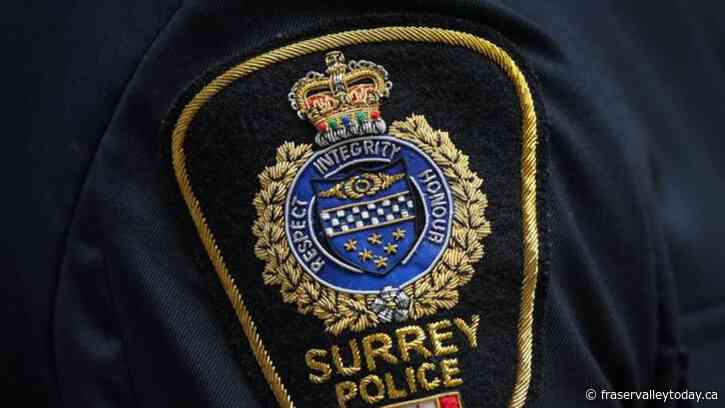 Hit-and-run collision in the Fraser Valley claims life of 6-year-old girl