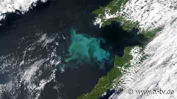 Forscher suchen nach Antworten: Was hat es mit dem mysteriösen Meeresleuchten auf sich?