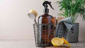 Hosting an Easter Gathering Soon? Here Are Some Tips for a Better and Faster Cleanup