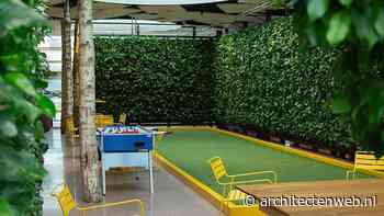 Direct groen, direct impact: de nieuwe groene wand