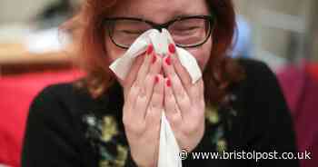 UK households advised to shut windows and doors for five hours a day