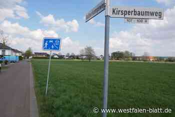 Neues Baugebiet nach Schwammstadt-Prinzip