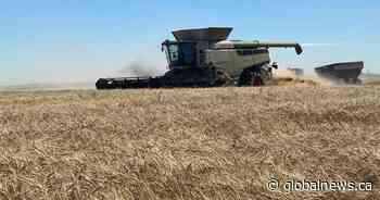 Farmers in Canada, United States feeling the impact of Donald Trump’s tariffs