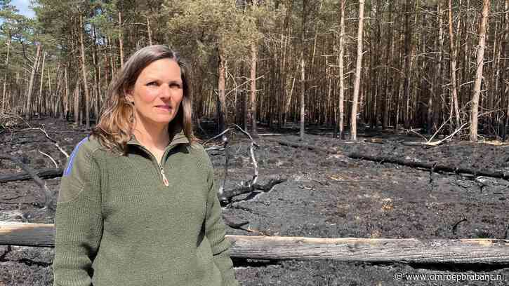 Verwoestende natuurbrand: boswachter Annette 'kan wel janken'